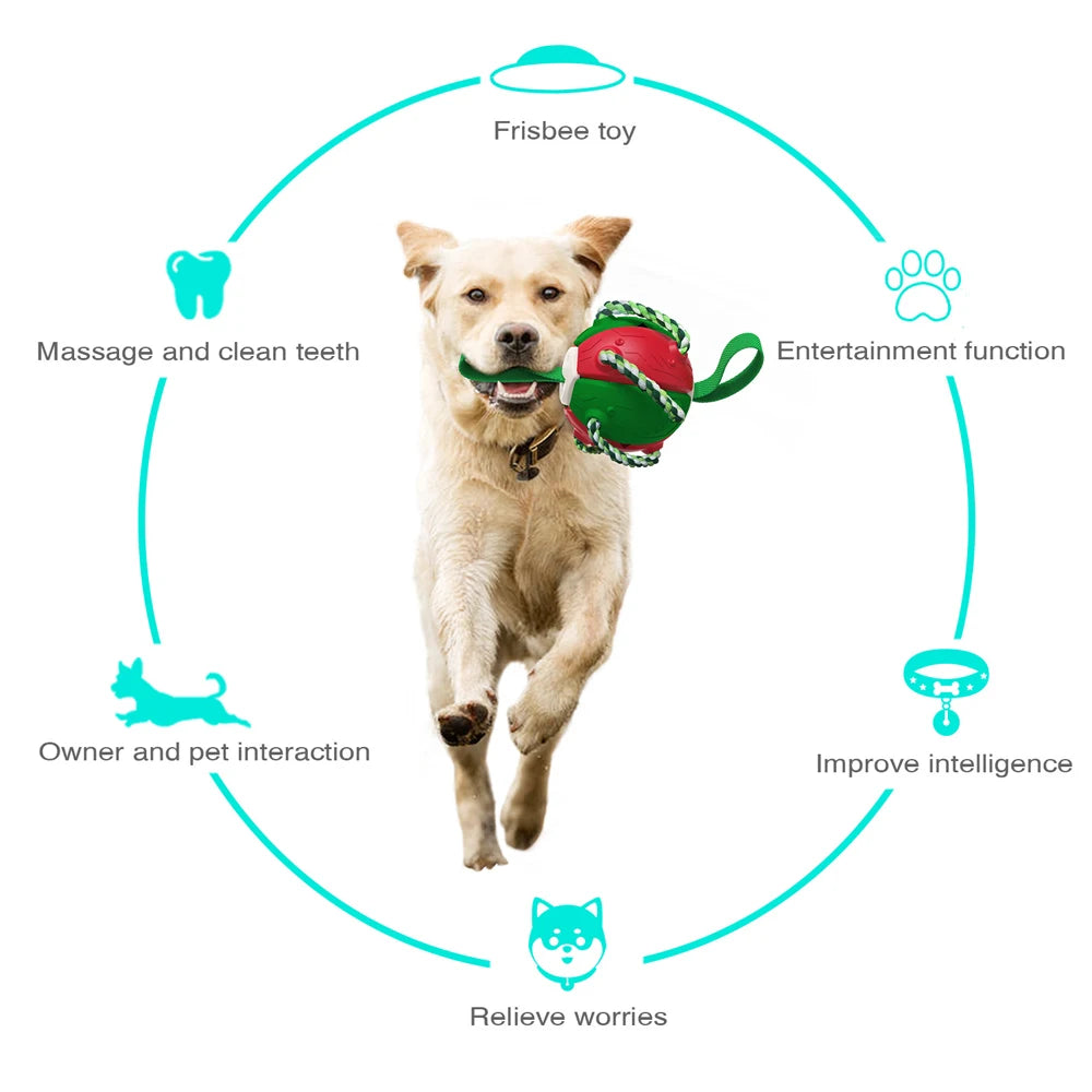 Dog Soccer Ball Interactive Toys Auto Expand Training Toys Outdoor Frisbee Pet Toys Dog Training Tools
