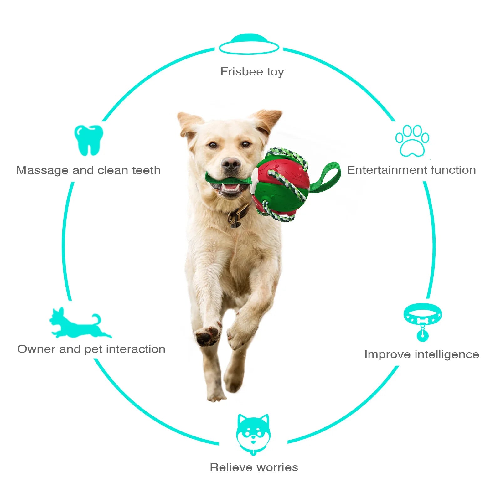 Dog Soccer Ball Interactive Toys Auto Expand Training Toys Outdoor Frisbee Pet Toys Dog Training Tools