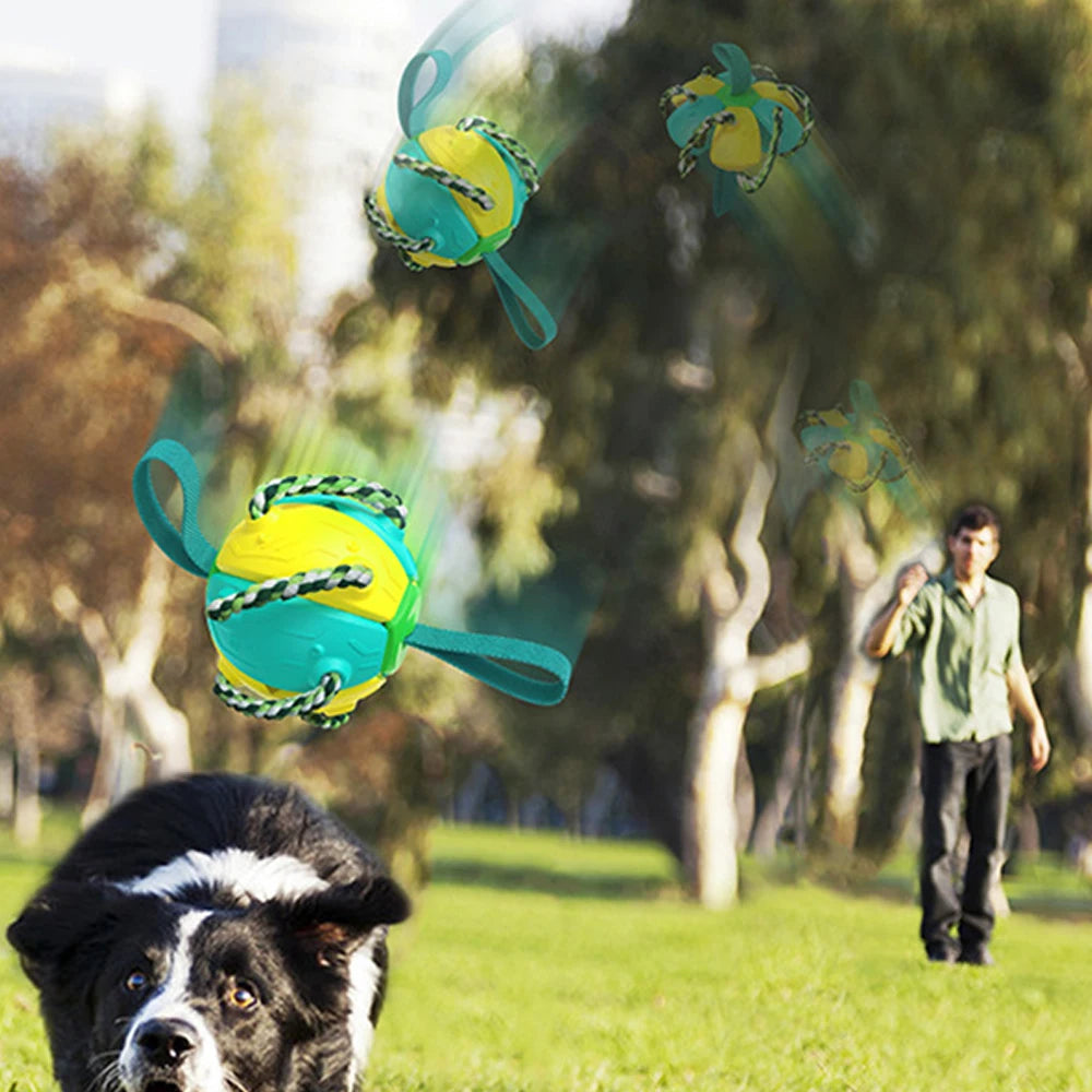 Dog Soccer Ball Interactive Toys Auto Expand Training Toys Outdoor Frisbee Pet Toys Dog Training Tools