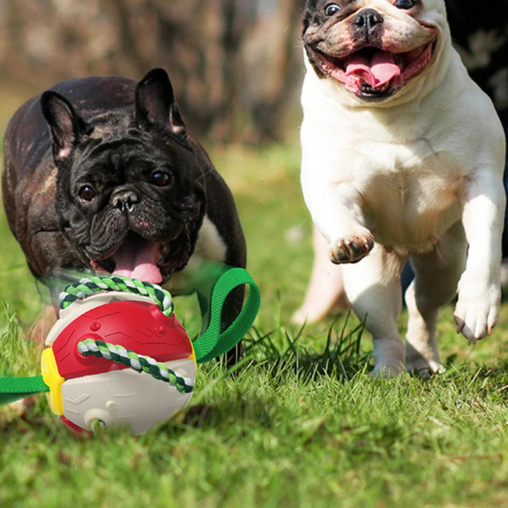 Dog Soccer Ball Interactive Toys Auto Expand Training Toys Outdoor Frisbee Pet Toys Dog Training Tools